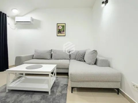 Izdavanje, jednosoban stan, 45m², Zagorič, Podgorica - image 1