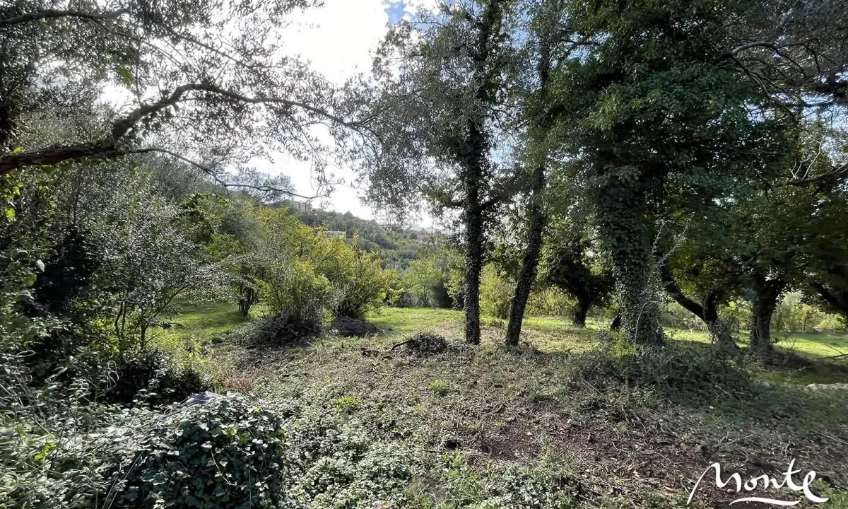 Sale, land lot, 3m², Kavač, Kotor