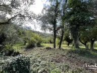 Sale, land lot, 3m², Kavač, Kotor - image 1