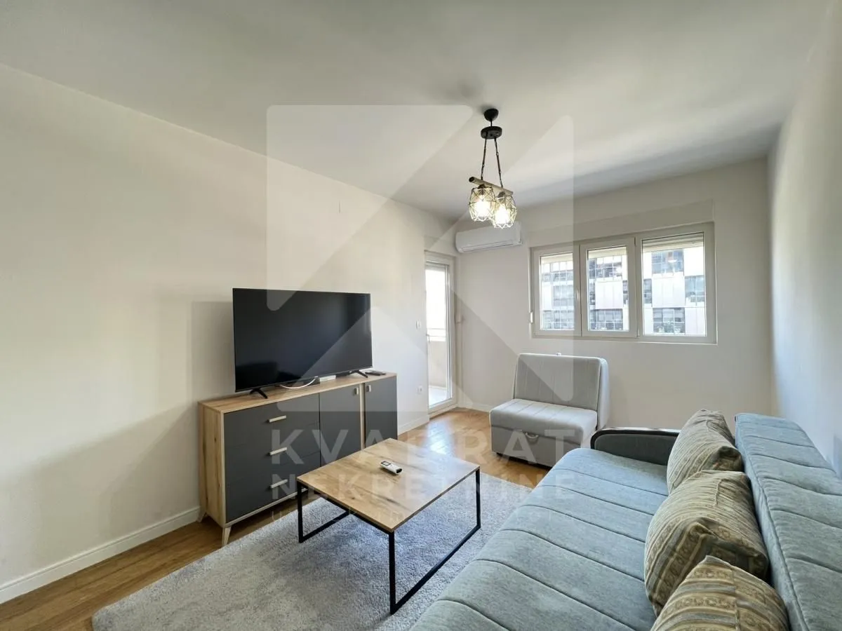 Rent, one bedroom apartment, 47m², Central Point, Podgorica