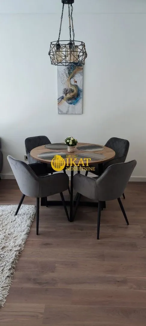 Rent, two bedroom apartment, 46m², Novi Beograd Blok 65, Novi Beograd Sve Podlokacije