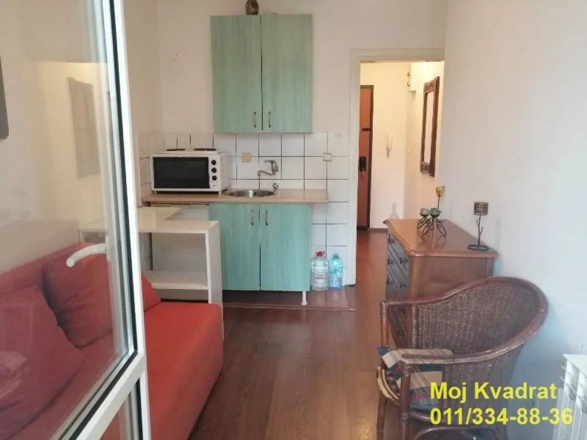 Izdavanje, garsonjera, 20m², Novi Beograd Blok 63, Novi Beograd Sve Podlokacije
