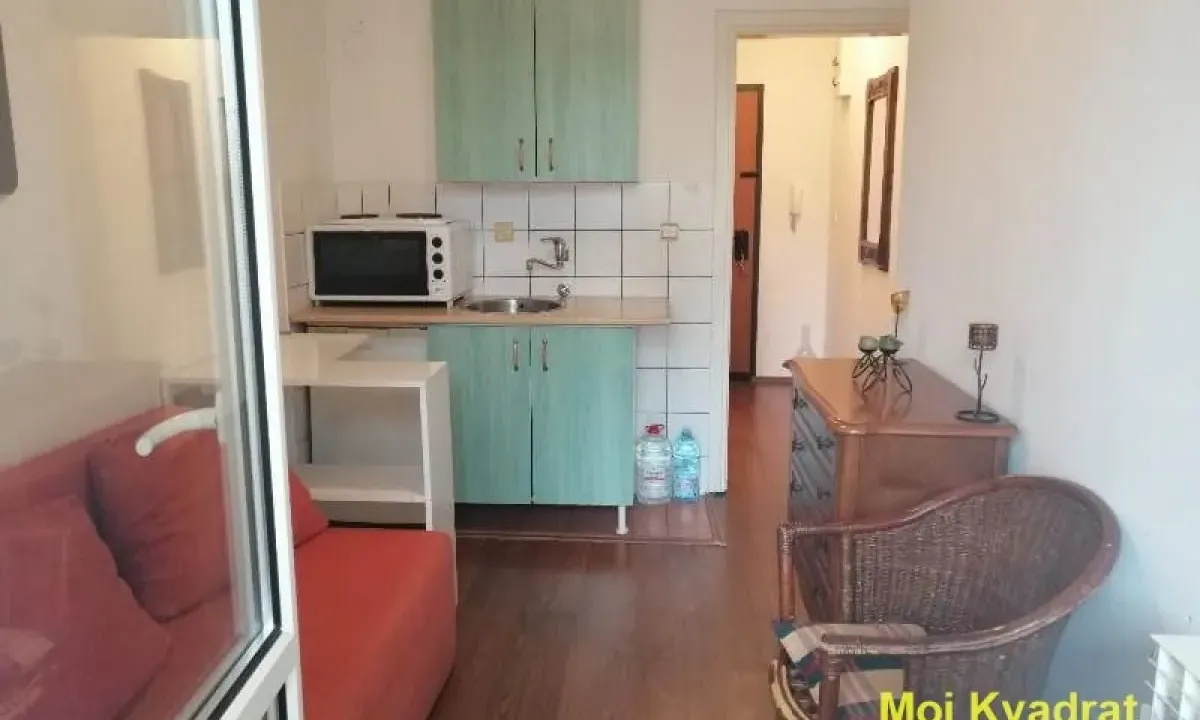Izdavanje, garsonjera, 20m², Novi Beograd Blok 63, Novi Beograd Sve Podlokacije