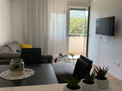 Izdavanje, jednosoban stan, 50m², Budva, Crna Gora - image 6