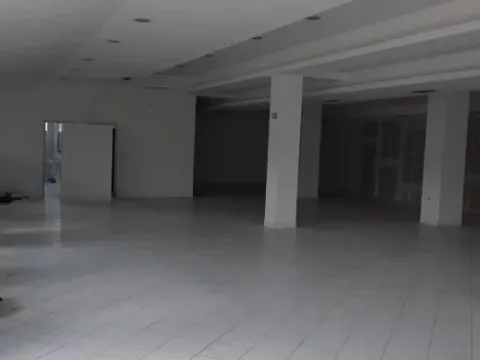 Izdavanje, poslovni prostor, 300m², Altina, Beograd - image 4