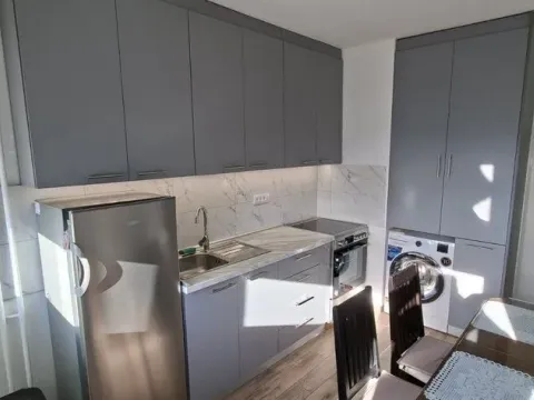 Izdavanje, dvosoban stan, 47m², Stari Merkator, Novi Beograd Sve Podlokacije - image 10
