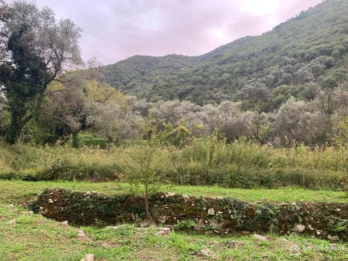 Prodaja, plac, 204100m², Stoliv, Kotor