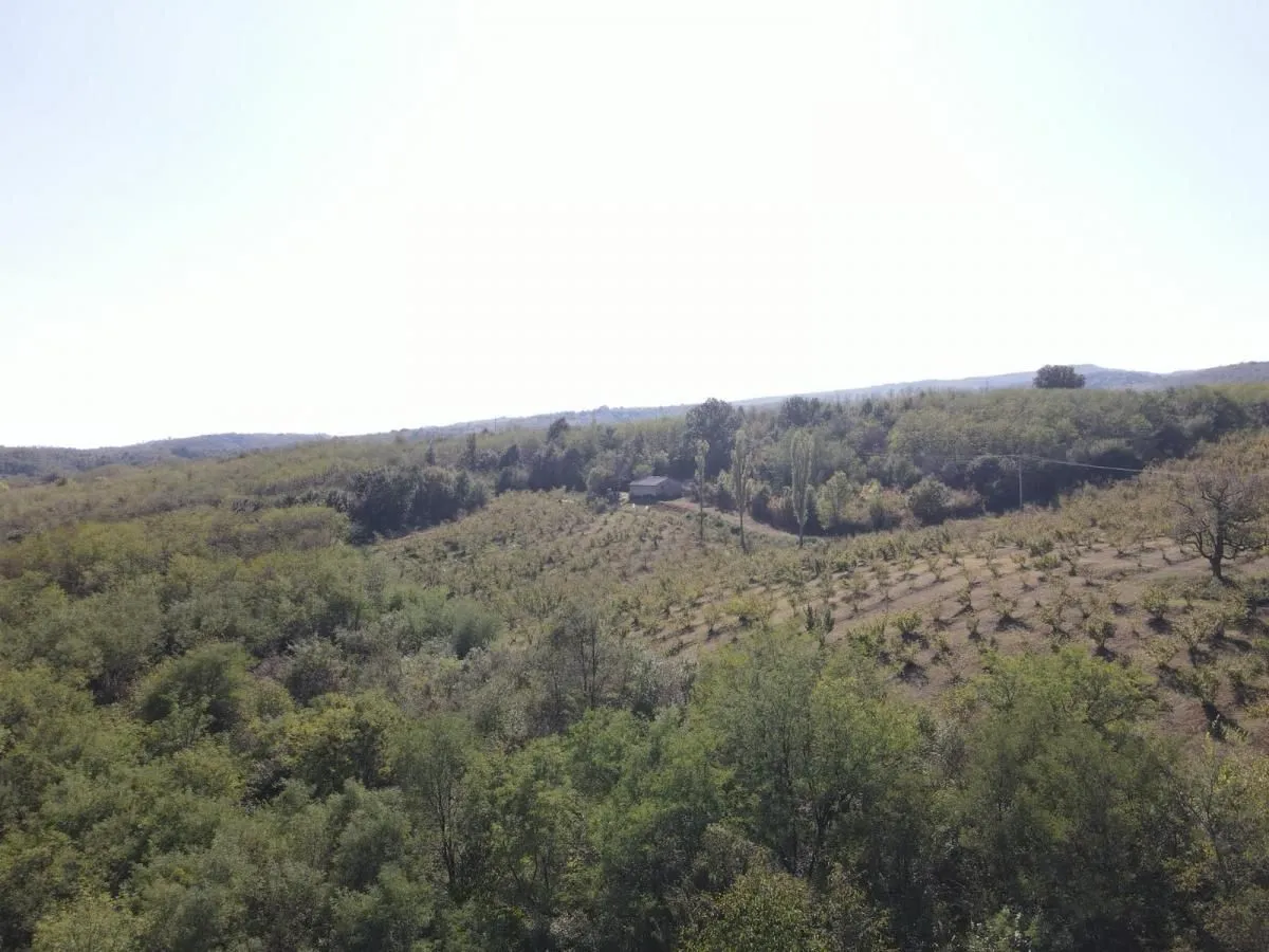 Pogled iz vazduha na zeleni pejzaž sa šumom i imanjem.