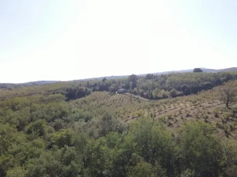 Pogled iz vazduha na zeleni pejzaž sa šumom i imanjem. - image 5