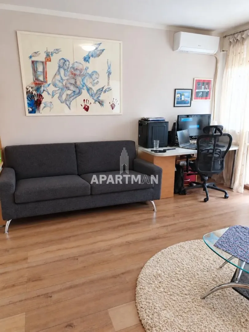 Living room with a sofa and a work desk.