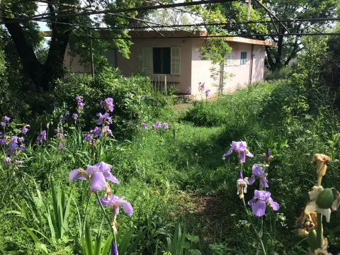 Sale, house, 260m², Zagrađe, Bar - image 6