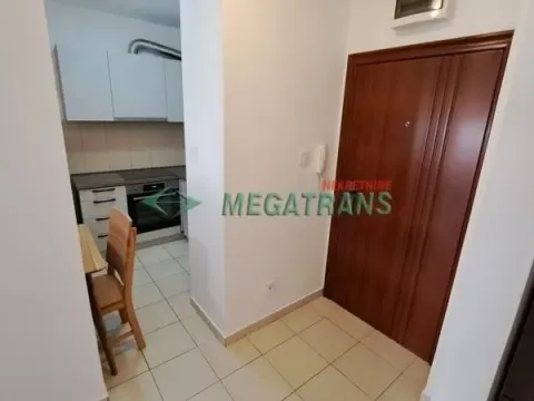 Izdavanje, dvosoban stan, 42m², Centar, Novi Sad - image 11