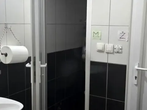 Izdavanje, poslovni prostor, 770m², Veternik, Novi Sad Sve Podlokacije - image 11