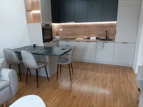 Izdavanje, jednosoban stan, 43m², Zabjelo, Podgorica - image 1