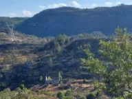 Sale, land lot, 480000m², Brestice, Nikšić - image 9