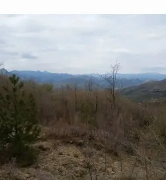 Prodaja, plac, 12000m², Centar, Bar - image 4