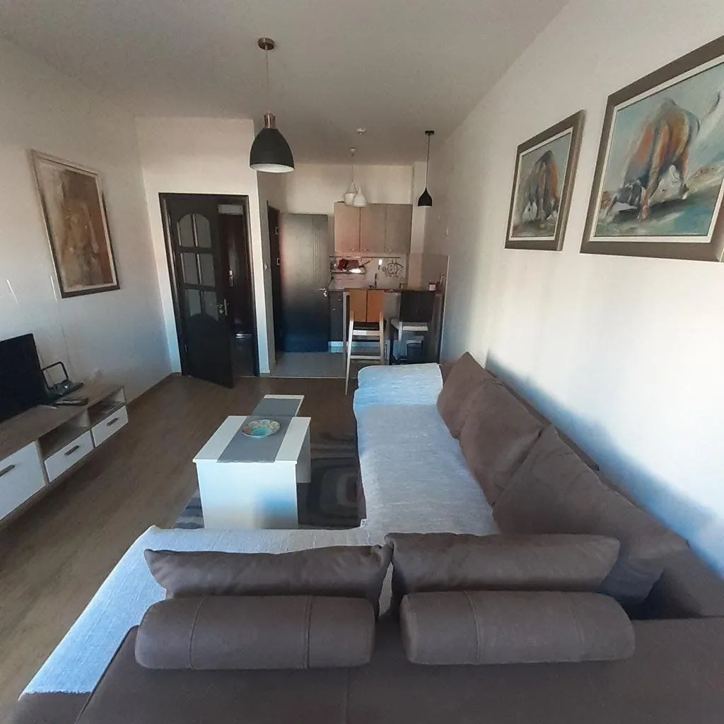 Rent, one bedroom apartment, 50m², City Kvart, Podgorica