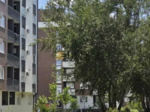 Izdavanje, jednosoban stan, 41m², Avijatičarsko naselje, Novi Sad Sve Podlokacije - image 13
