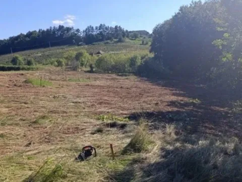 Sale, land lot, 8000m², Kržava, Krupanj - image 6