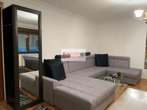 Izdavanje, jednosoban stan, 55m², Zvezdara Sve Podlokacije, Beograd - image 13