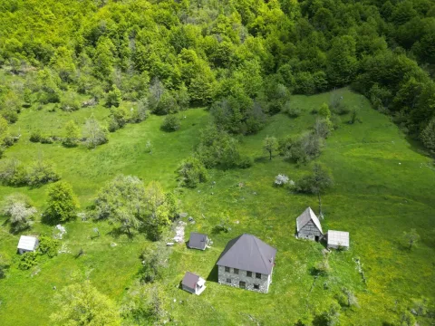 Pogled iz vazduha na seosko imanje sa kućom i pomoćnim objektima okruženo šumom i zelenilom. - image 5