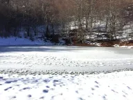 Sale, land lot, 17300m², Crkvine, Kolašin - image 9