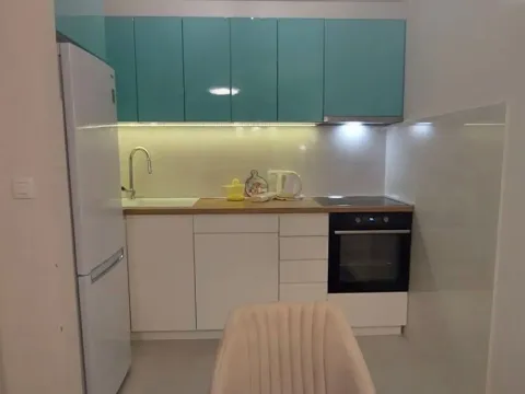 Rent, one bedroom apartment, 47m², Central Point, Podgorica - image 4