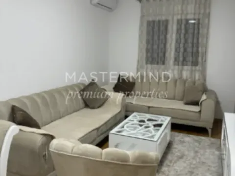 Izdavanje, jednosoban stan, 43m², Stari Aerodrom, Podgorica - image 6