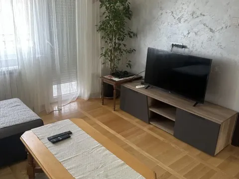 Izdavanje, trosoban stan, 55m², Čukarica, Beograd - image 2