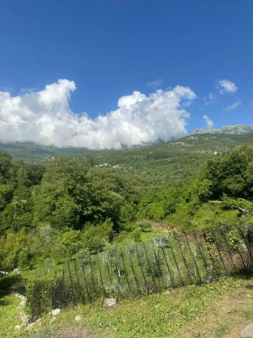 Prodaja, plac, 2420m², Šišići, Kotor