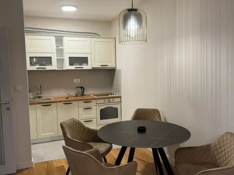 Izdavanje, jednosoban stan, 49m², Central Point, Podgorica - image 4