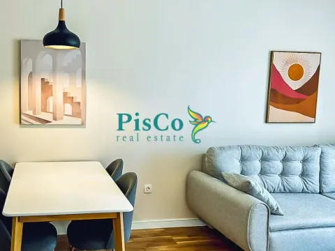 Rent, one bedroom apartment, 40m², Pobrežje, Podgorica - image 4