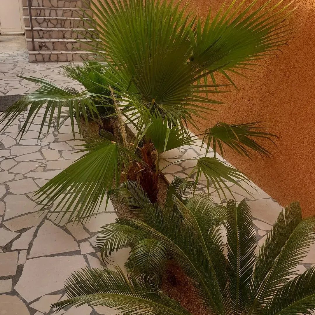 Sale, house, 150m², Šušanj, Bar
