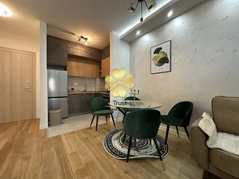 Izdavanje, jednosoban stan, 40m², Central Point, Podgorica - image 2