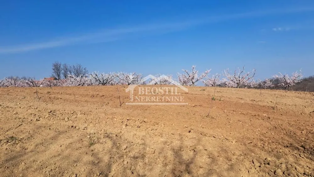 Prodaja, plac, 4058m², Brestovik, Grocka