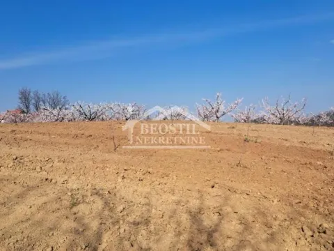 Sale, land lot, 4058m², Brestovik, Grocka - image 3