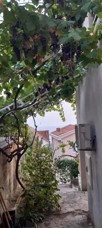 Izdavanje, kuća, 40m², Dobra Voda, Budva