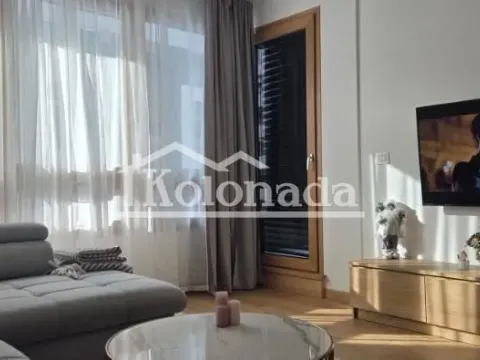 Stan in Novi Beograd Blok 65