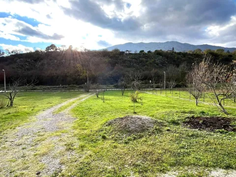 Sale, house, 62m², Orja Luka, Danilovgrad - image 13