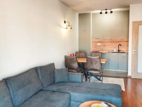 Izdavanje, jednosoban stan, 49m², Master Kvart, Podgorica - image 2
