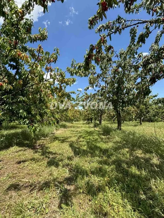 Prodaja, plac, 28700m², Novi Slankamen, Inđija