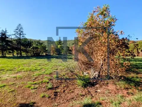 Sale, house, 121m², Podgorica, Crna Gora - image 5