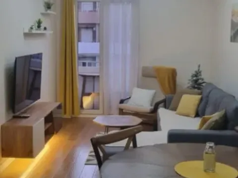 Izdavanje, jednosoban stan, 43m², Central Point, Podgorica - image 5