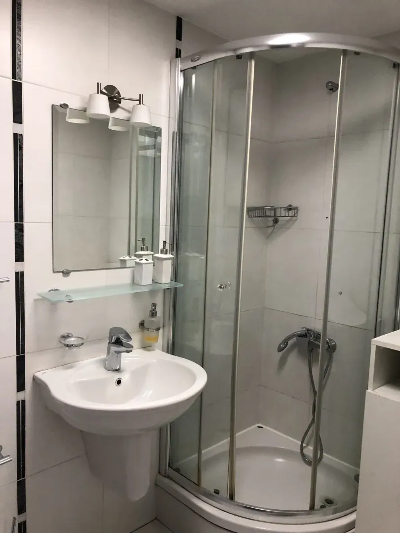 Simple bathroom with a shower cabin and a sink.