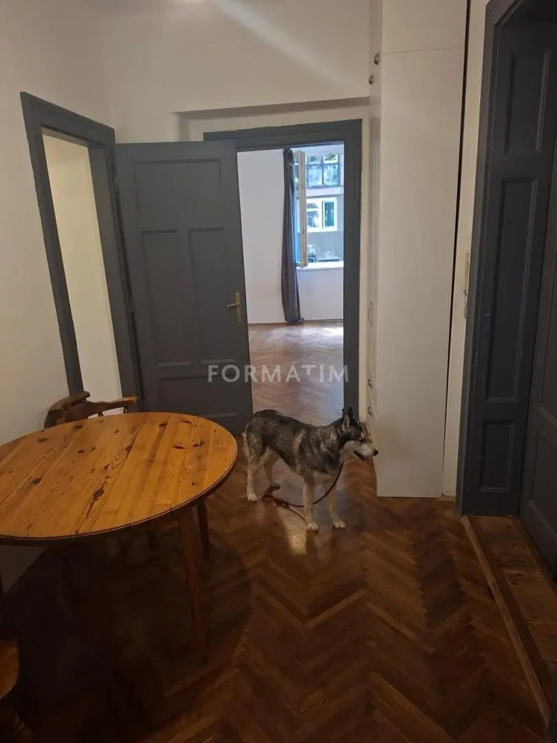 Rent, three bedroom apartment, 72m², Vračar Centar, Vračar Sve Podlokacije