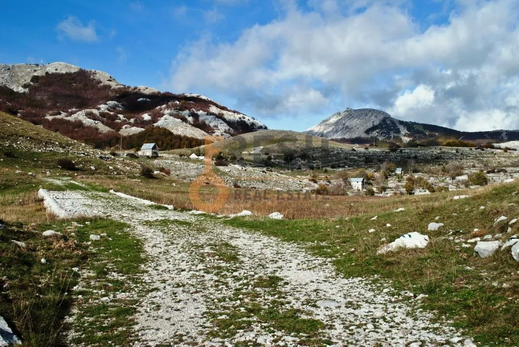 Prodaja, plac, 4307m², Cetinje, Crna Gora