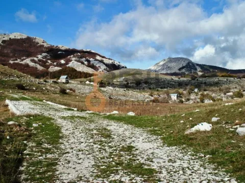 Prodaja, plac, 4307m², Cetinje, Crna Gora - image 9