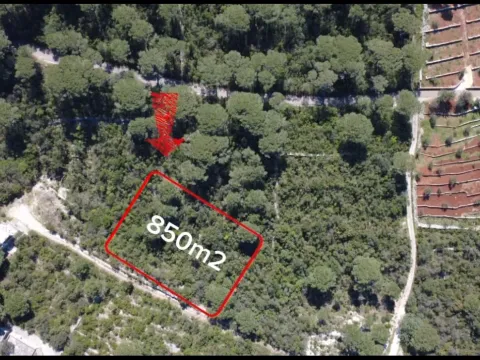 Prodaja, plac, 850m², Mirište, Herceg Novi - image 1