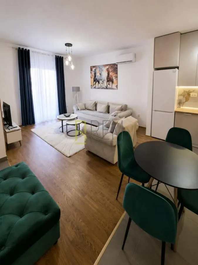 Rent, one bedroom apartment, 56m², Central Point, Podgorica