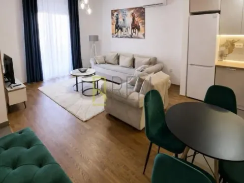 Izdavanje, jednosoban stan, 56m², Central Point, Podgorica - image 2